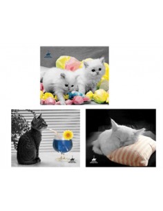 Mouse pad gatti