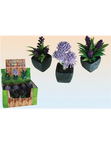 Vasetto con piantine decorative