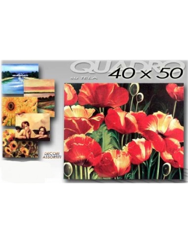 Quadro tela paesaggi / floreale Cm....