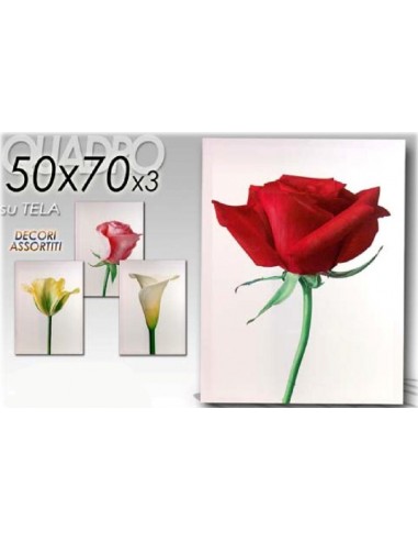 Quadro tela fiori Cm. 50x70