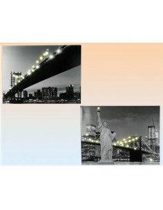 Quadro tela New York bianco...