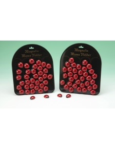 Magnete resina coccinella...