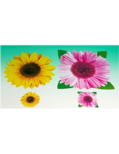 Tovaglietta americana pvc...
