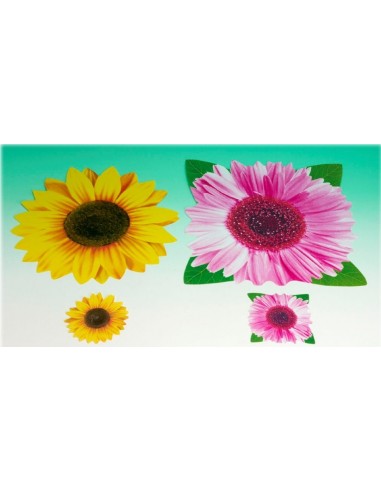 Tovaglietta americana pvc fiori con...
