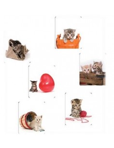 Mouse pad piatto Gatti Cm....