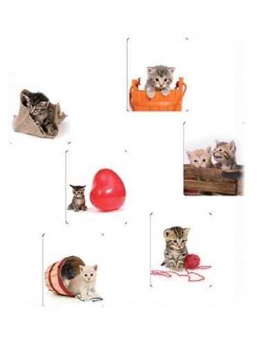 Mouse pad piatto Gatti Cm. 24x20
