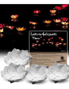 Lanterna fiore galleggiante...