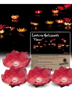 Lanterna fiore galleggiante...